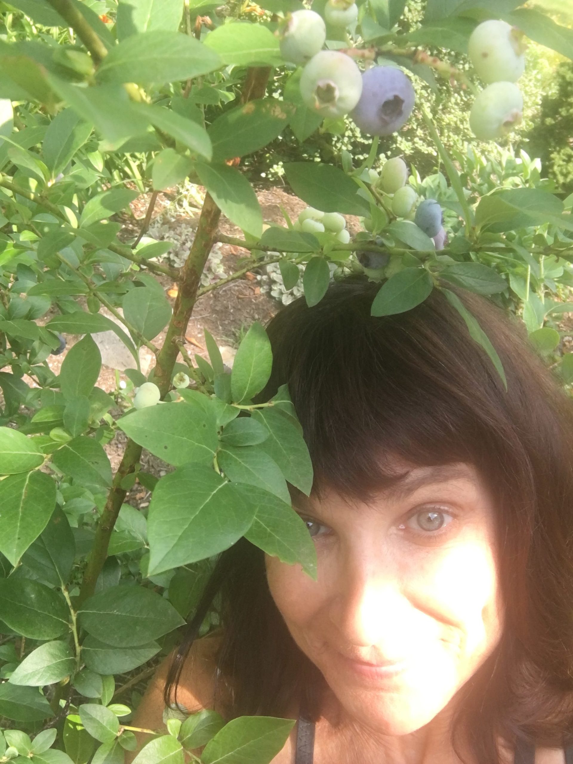 Do Good Things: Living With My Blueberry Bush