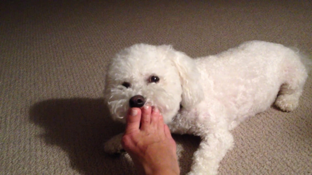 Vlog 20: W-HOME. Pedicure By Caesar for Mummy